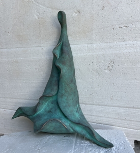 Tác Phẩm Của NĐK Trần Việt Hưng